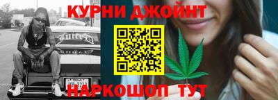 крисы Ливны