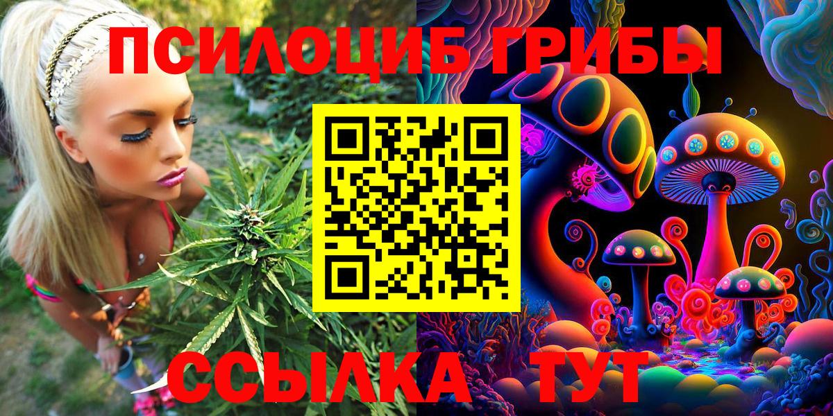 Псилоцибиновые грибы Psilocybine cubensis  Вход с VPN  Галлюциногенные грибы прущие грибы  Гурьевск 