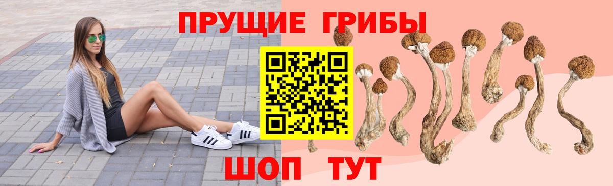 Псилоцибиновые грибы прущие грибы Гурьевск